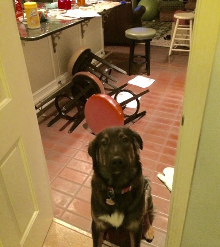 a30dd055aca9760b777af2a9cb