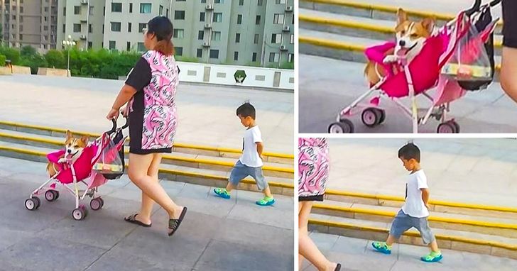 a310f45e7dbe57acd21c844a03