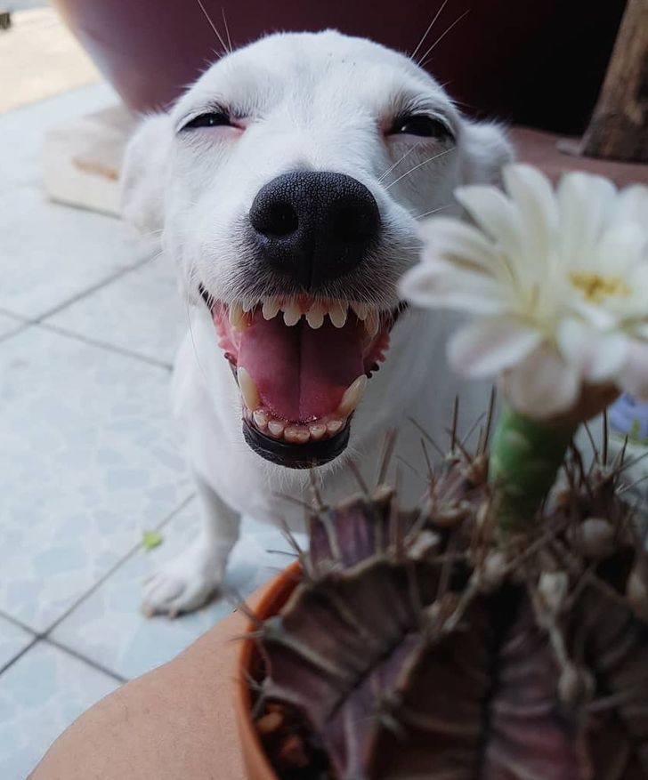 a31393519692650b78121349ae