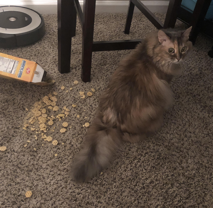 a3153053d6b789d91684158a56