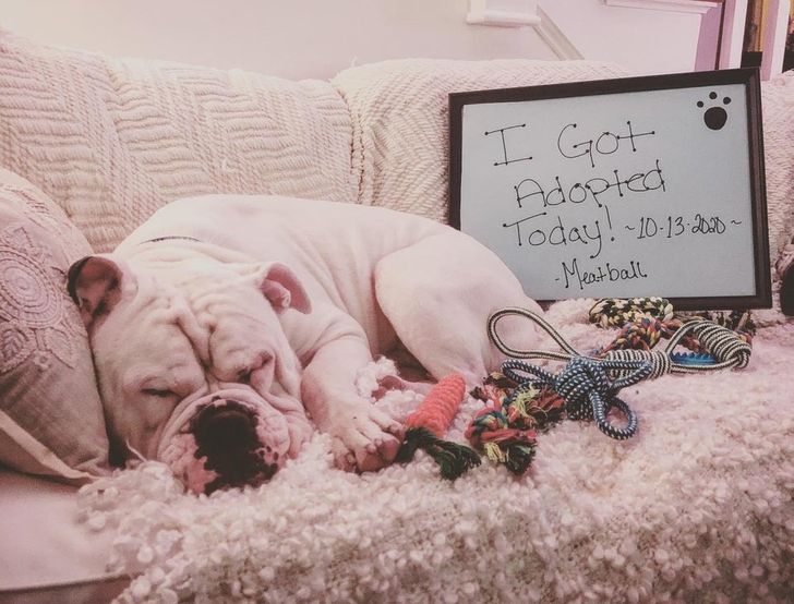 a316ea546f8ce7d495ab7aea14