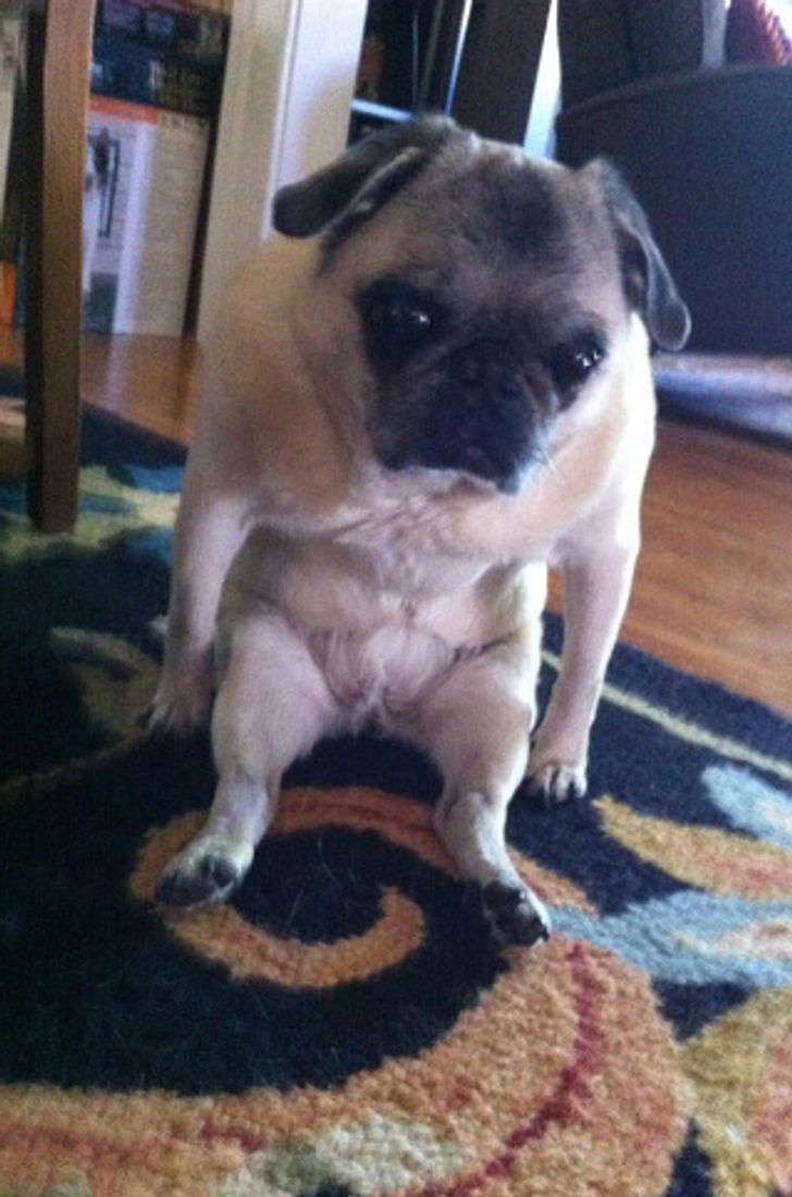 a31fde504d9235a9c7560845ed