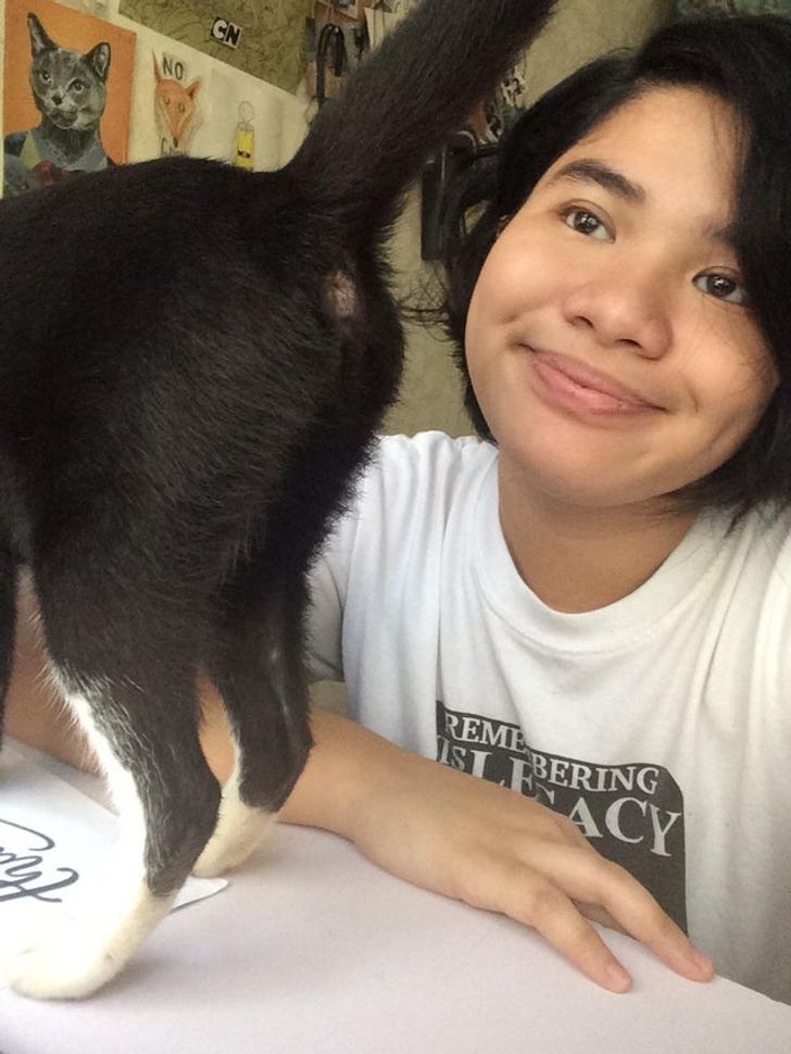 a322685f8ca877887987427b43