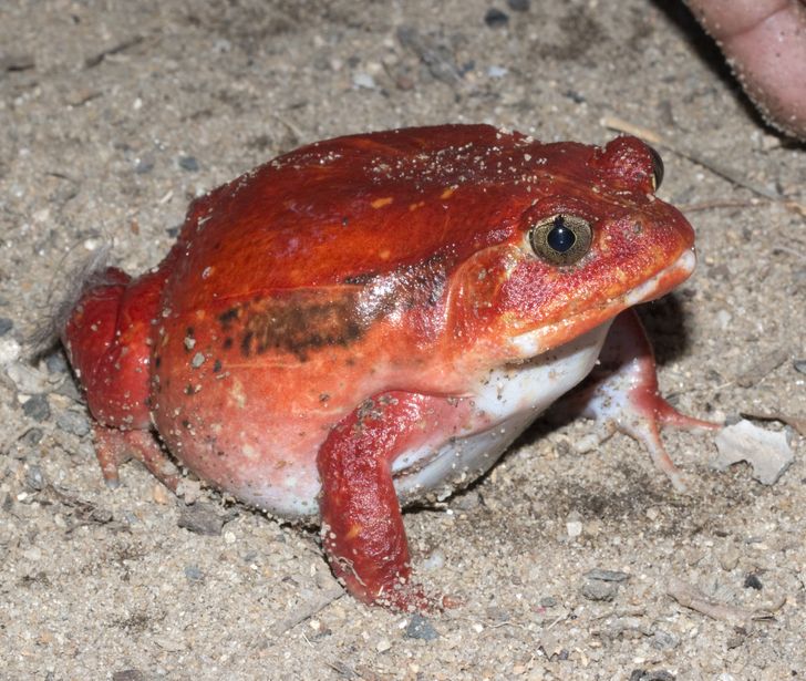 a324115d4187bd7fc41da443fd