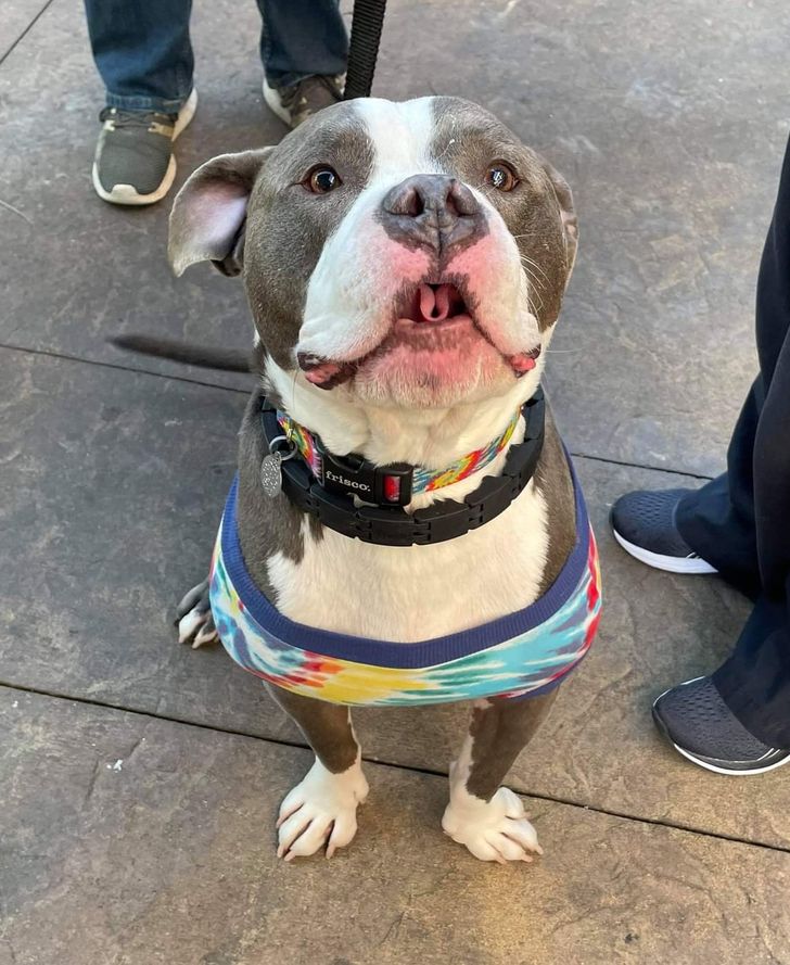 a32d765176b20624486bfa3bff