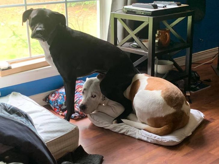 a32e4f5db9b60e2fae31153192