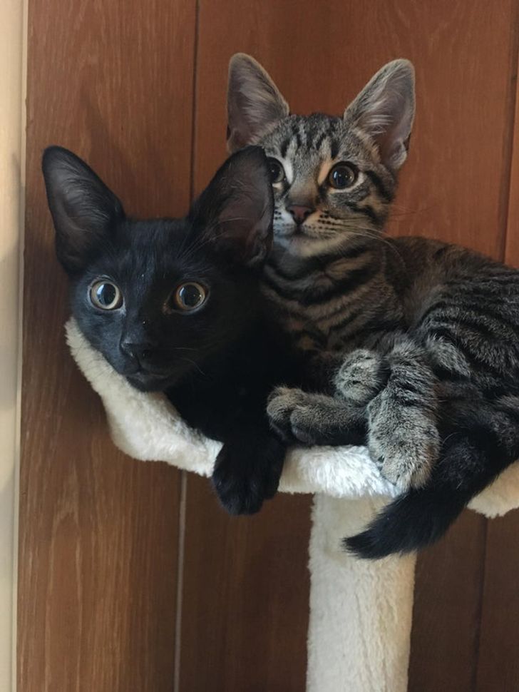 a3311b5d34828b7bcf844f092d