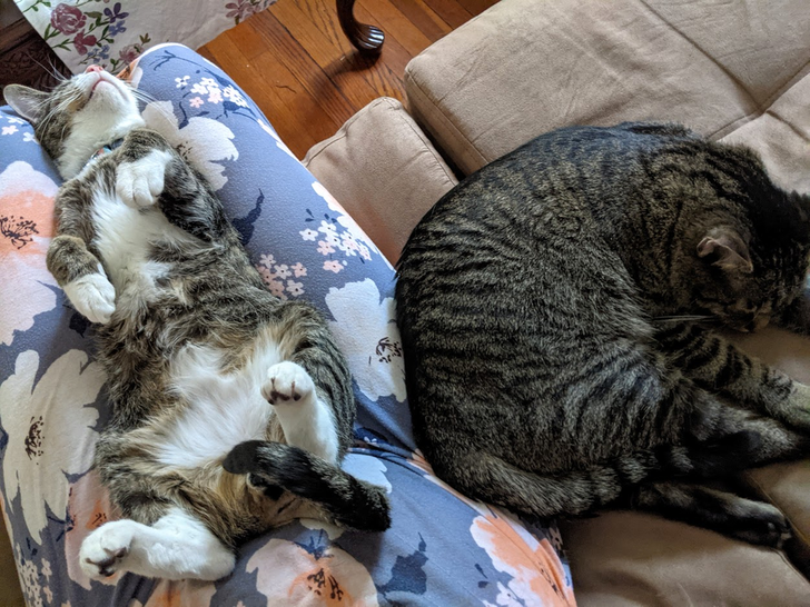 a339ec5ee1961cd8123857970e