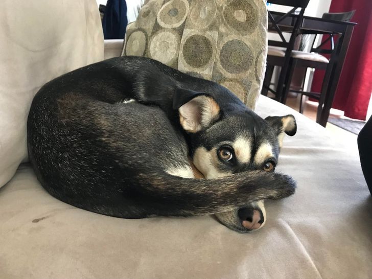 a33fea5b148f3a757372e064cd