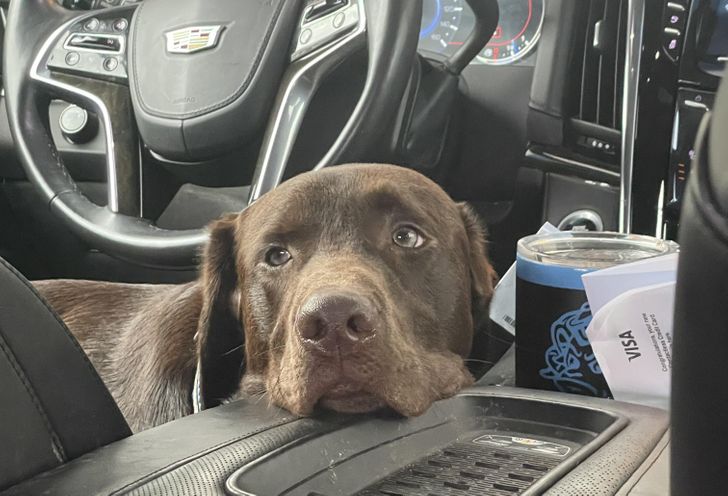 a361385012ab4a392cda3ede58