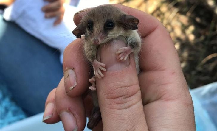 a38bbe55a29c7da4edbc85cfbd