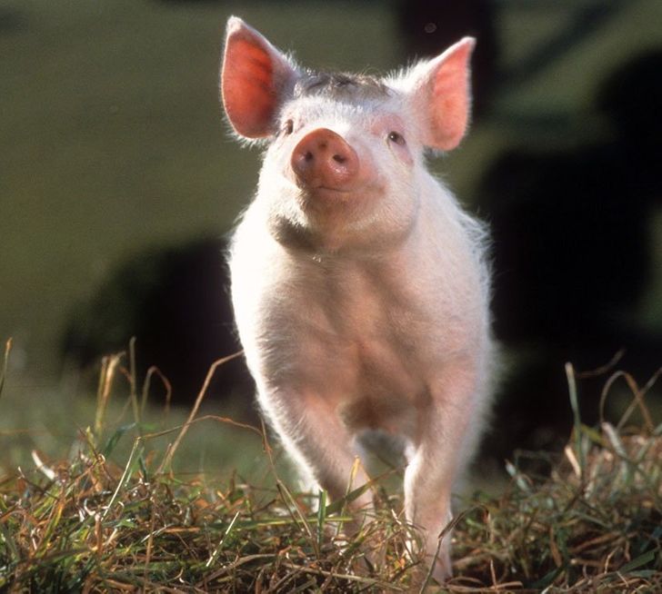 a38e1d573fb2e1fc3580d6a132