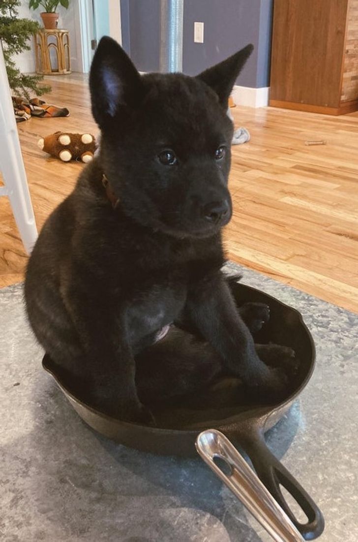 a38f1851aa9403377144721715