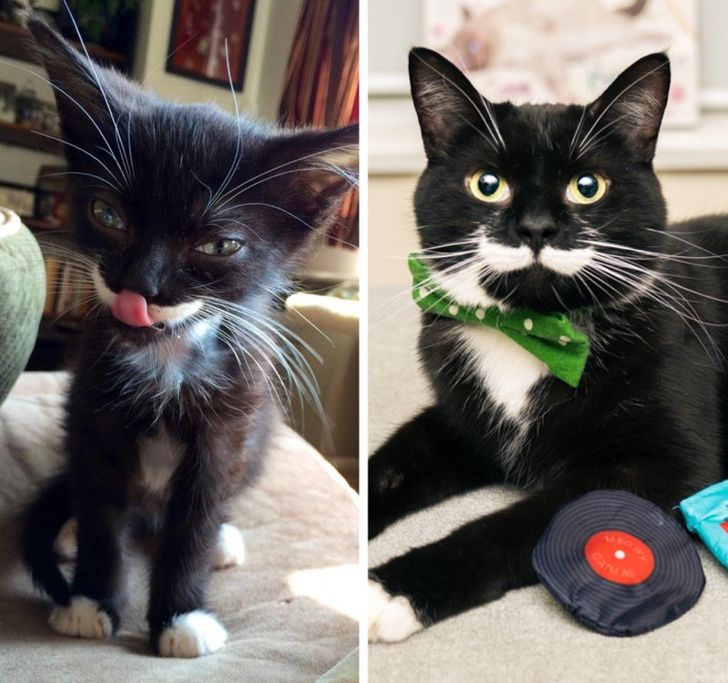 a3962b5436b1e5d55dd0f668dc