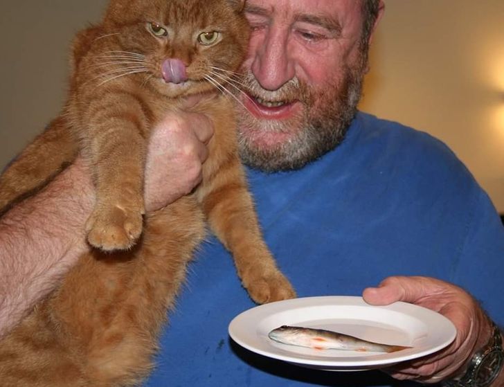 a3a4c55a278cc9ddcc6fc47b8c