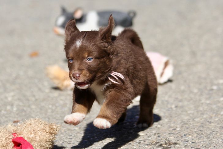 a3a5da5153b49e620f3b107222