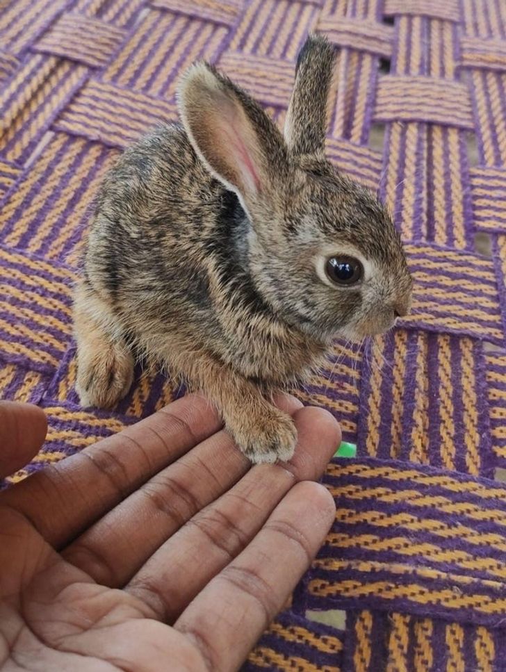 a3a90658679aa3d105e87e2b58