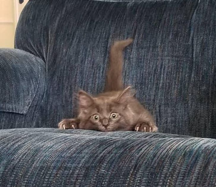 a3a95c50a281d4f7c85d1daca8