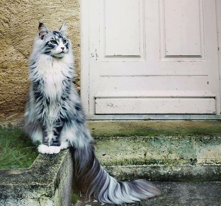 a3a9775113adc833af5b1c2b70