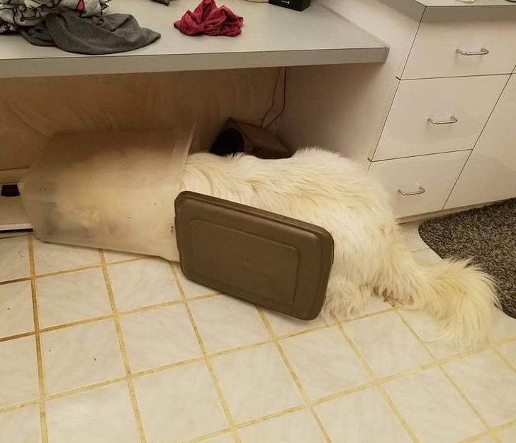 a3afe55a0b815f7197aee47764