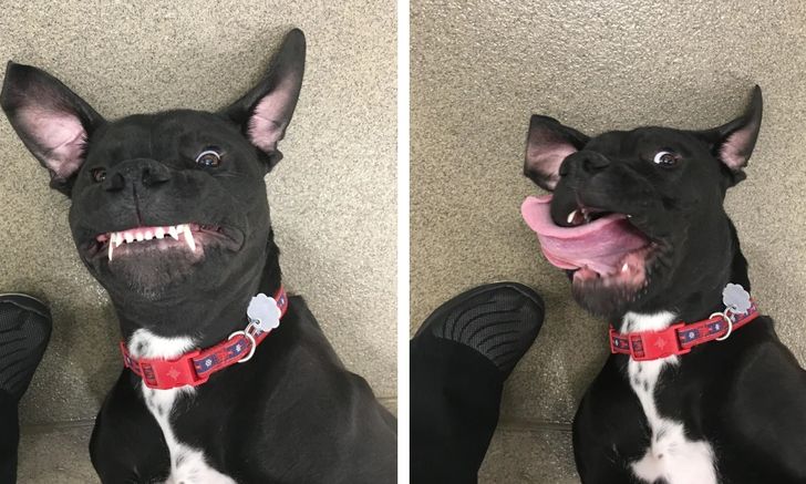 a3b83753e1817417301b9b8a00