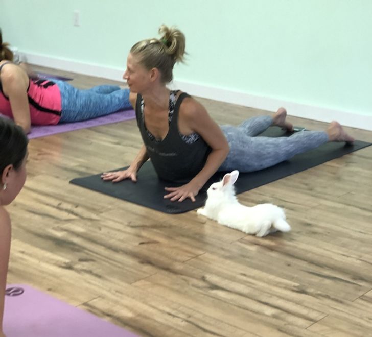 a3bc115a9ab0f9c4ee591c5295