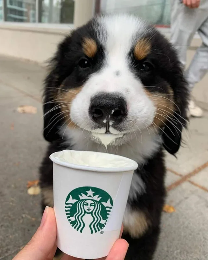 a3bd2e5a62835bd65f94db1cf2