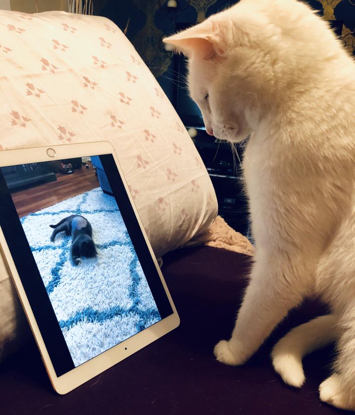 a3bde05f49af88f2ac89bf92aa