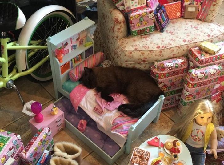 a3c4a851a2a898d702b4c3cc08 a3c4a851a2a898d702b4c3cc08