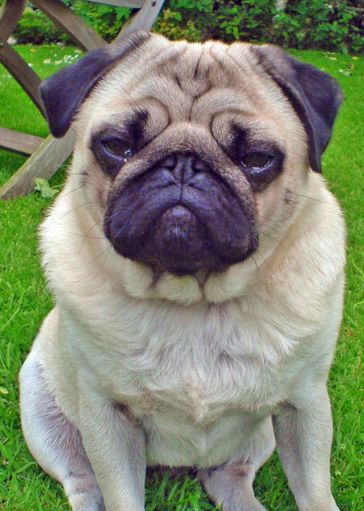 a3cc5d529891f1953e92f21048