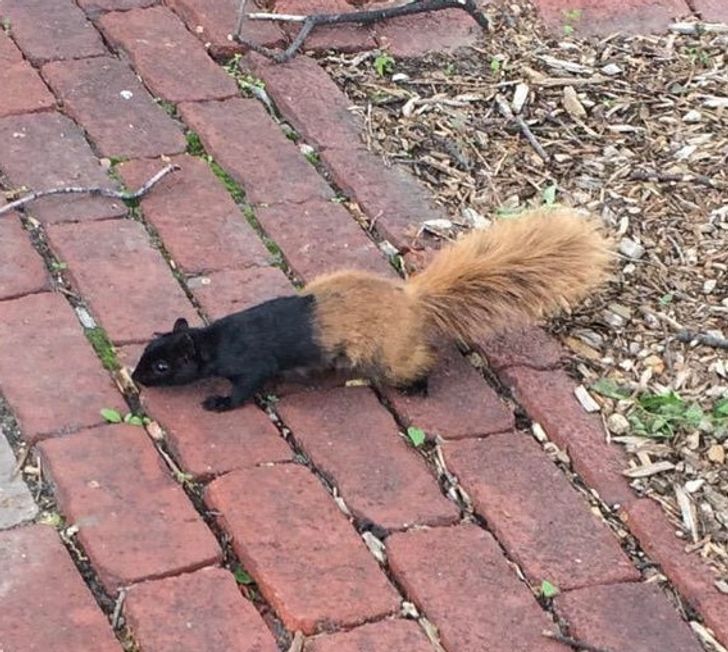 a3cd9f54448a99ba3abd5c9395