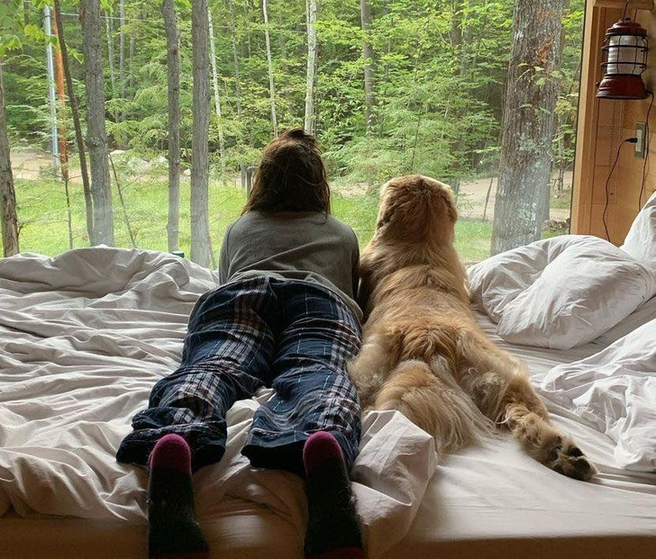 a3d2fc503396040839b5000daf