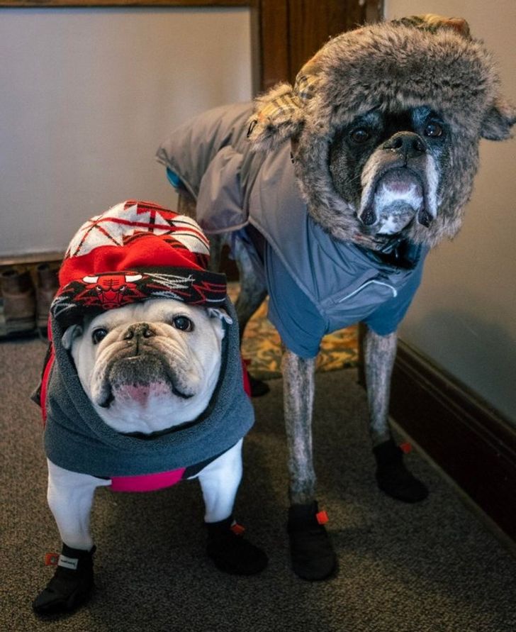 a3db57567db034c36e54eb9120