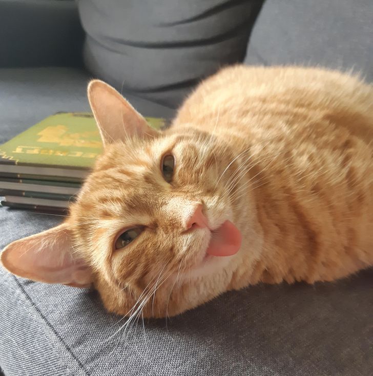 a3dd565c2caad7319267f5674d