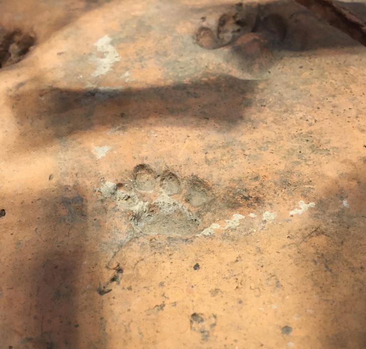 a3e18a5c7fb0afe6dcef7cd527