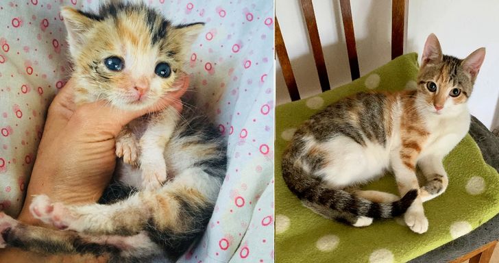 a3e30f5d5c9cce3a2a0bba3728