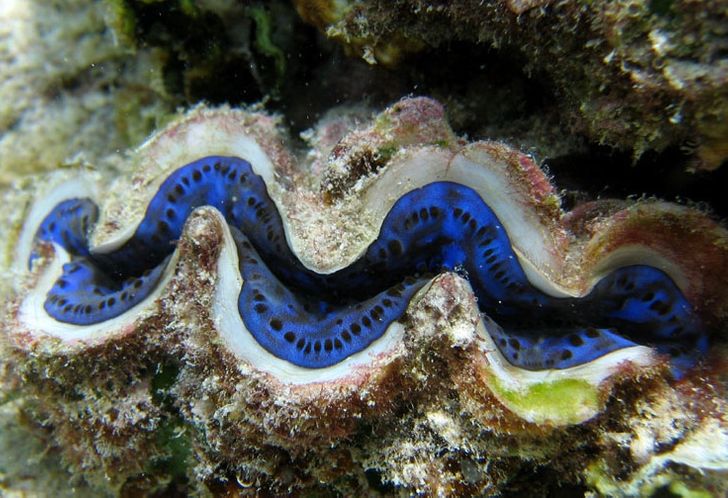 a3e4e459afb84b43e319a79333