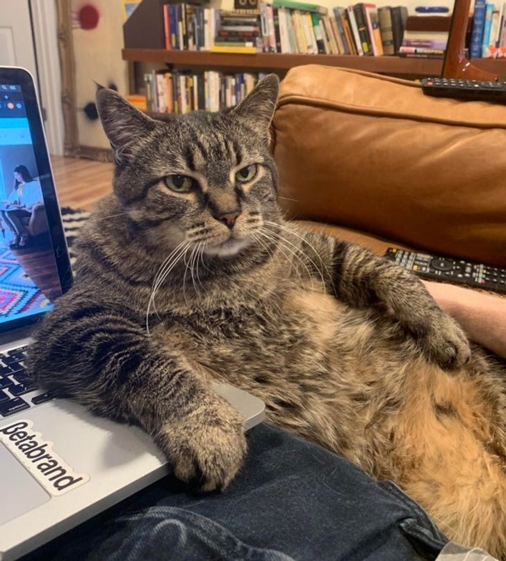 a3ecb5536fbcba3bb173ae04ff