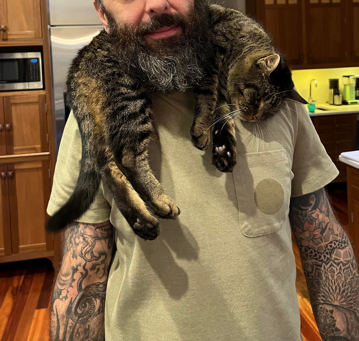 a3f4c55debac044f66343cd796 a3f4c55debac044f66343cd796