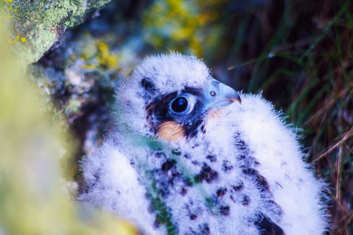 a3f535571487be7582324a7d7b