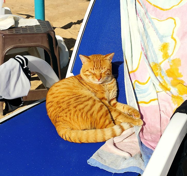 a3ff215a40a3aa2843697716f3