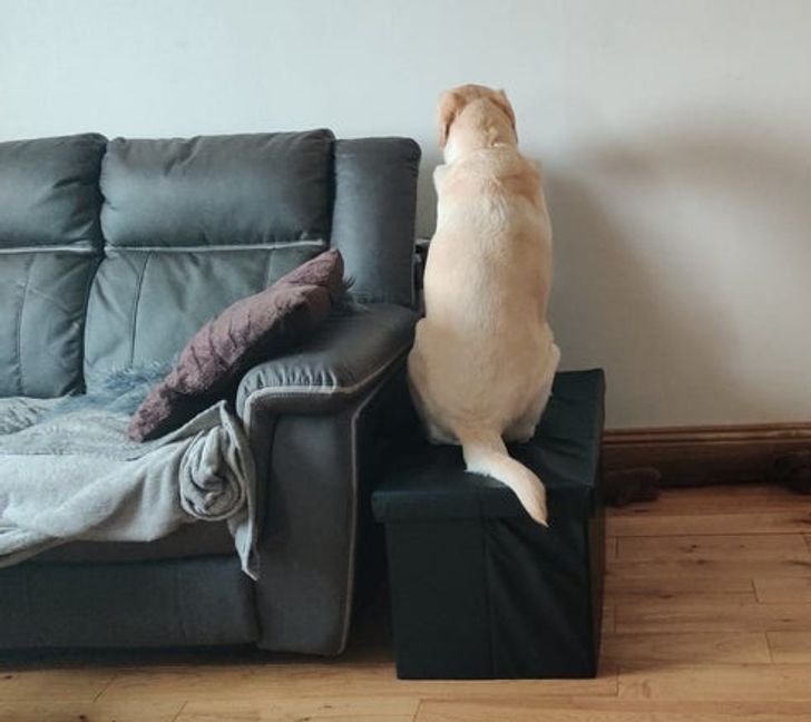 a4021852318c0661de069b3193-1