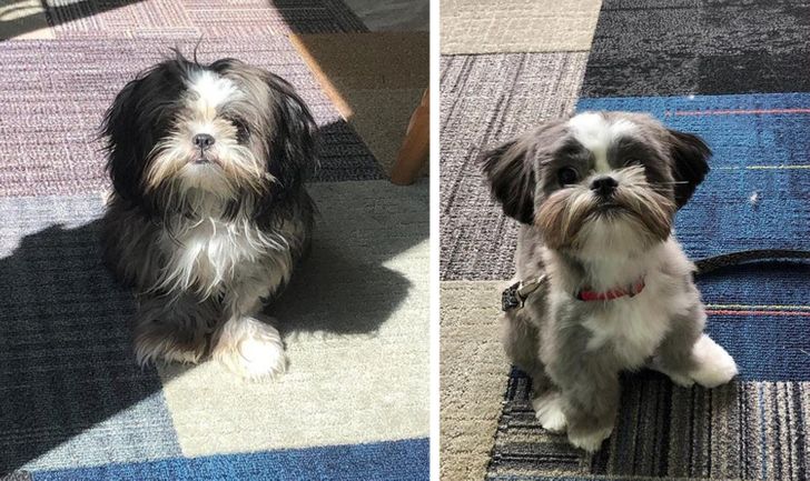 a40302567faa52445aea8f7fd0 a40302567faa52445aea8f7fd0