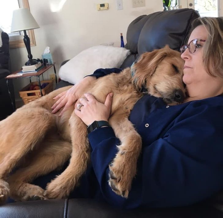 a4080153cdb5bbc0ab119b7f82