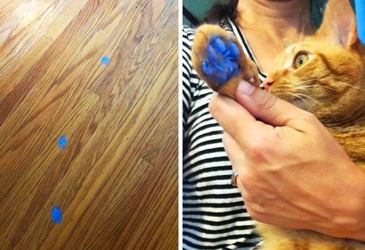 a40a295c4ca6ad8e5f13d37d72