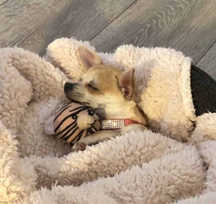 a40ff35a6685fb5166b331080b