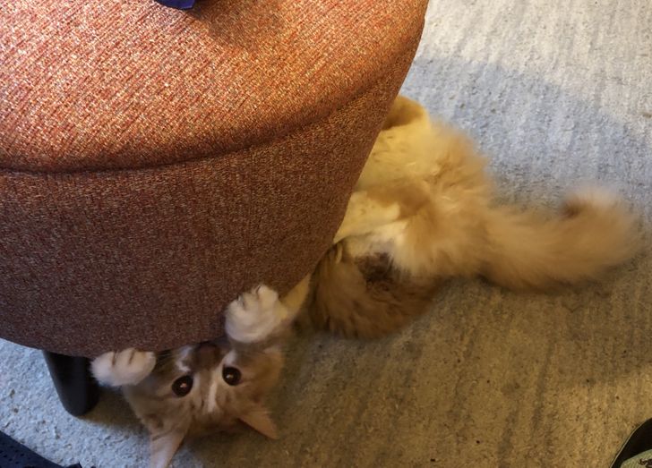 a4175a5fc0ac4d1d4e6917661d a4175a5fc0ac4d1d4e6917661d