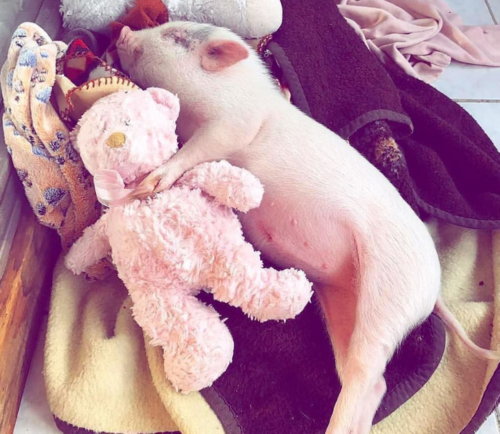 a41c5e545a9fa8cbc2e0879cd2