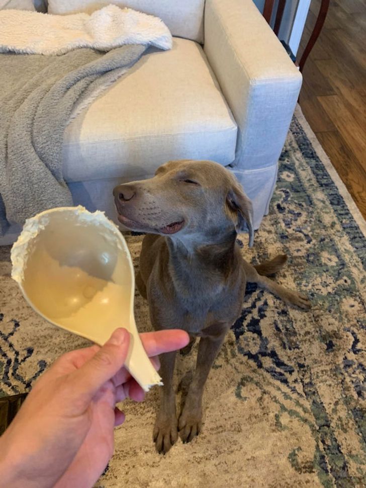 a426ea5695b4a25ab2c2670d21