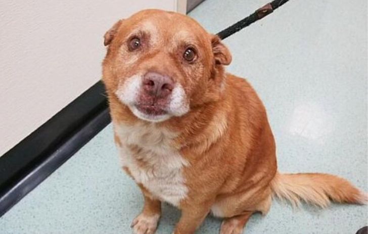 a4278b57158336397dcf3f18a3